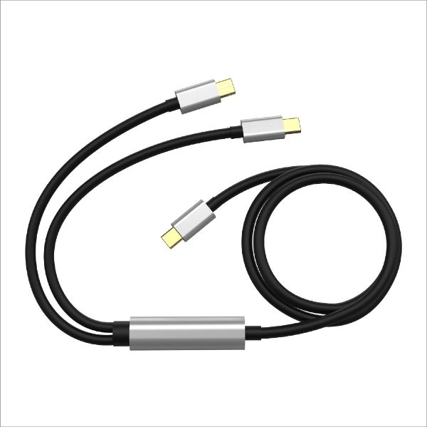 2 in 1 Type C 100W PD Charging Cable